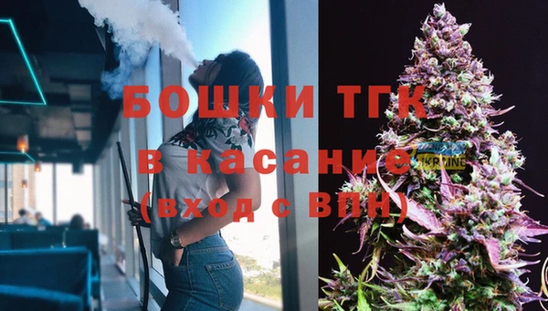 экстази Няндома