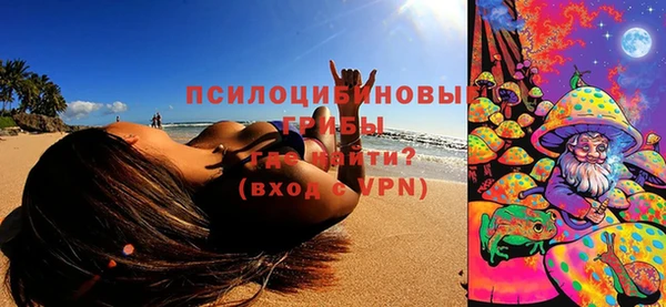 твердый Осташков