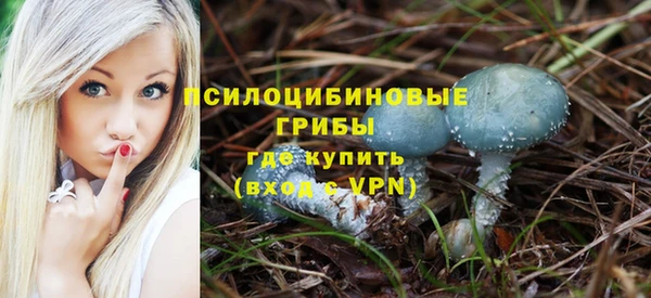 ALPHA PVP Нягань