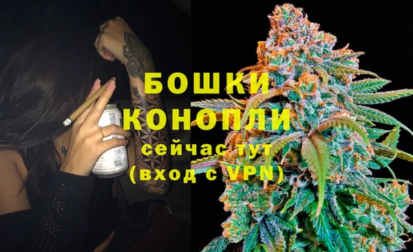экстази Няндома