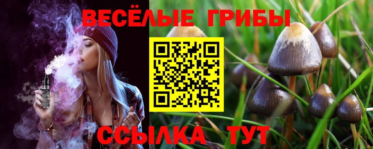 Псилоцибиновые грибы Magic Shrooms Кулебаки